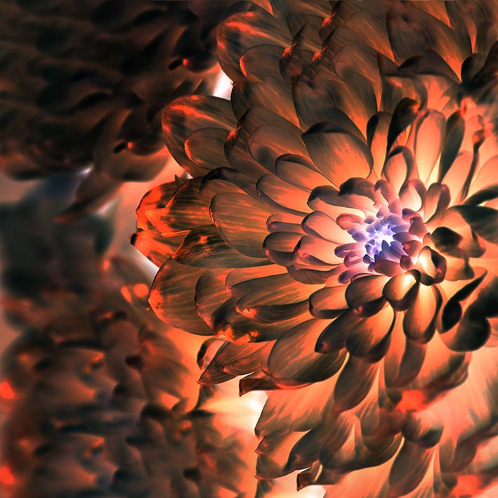 baskılı fon perde turuncu ve mor etkili çiçek desenli