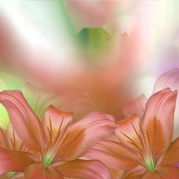 baskılı fon perde turuncu ve pembe tonlu çiçek desenli