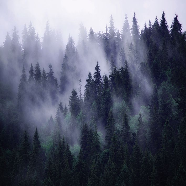 baskılı fon perde yeşil laci sis etkili uzak orman desenli