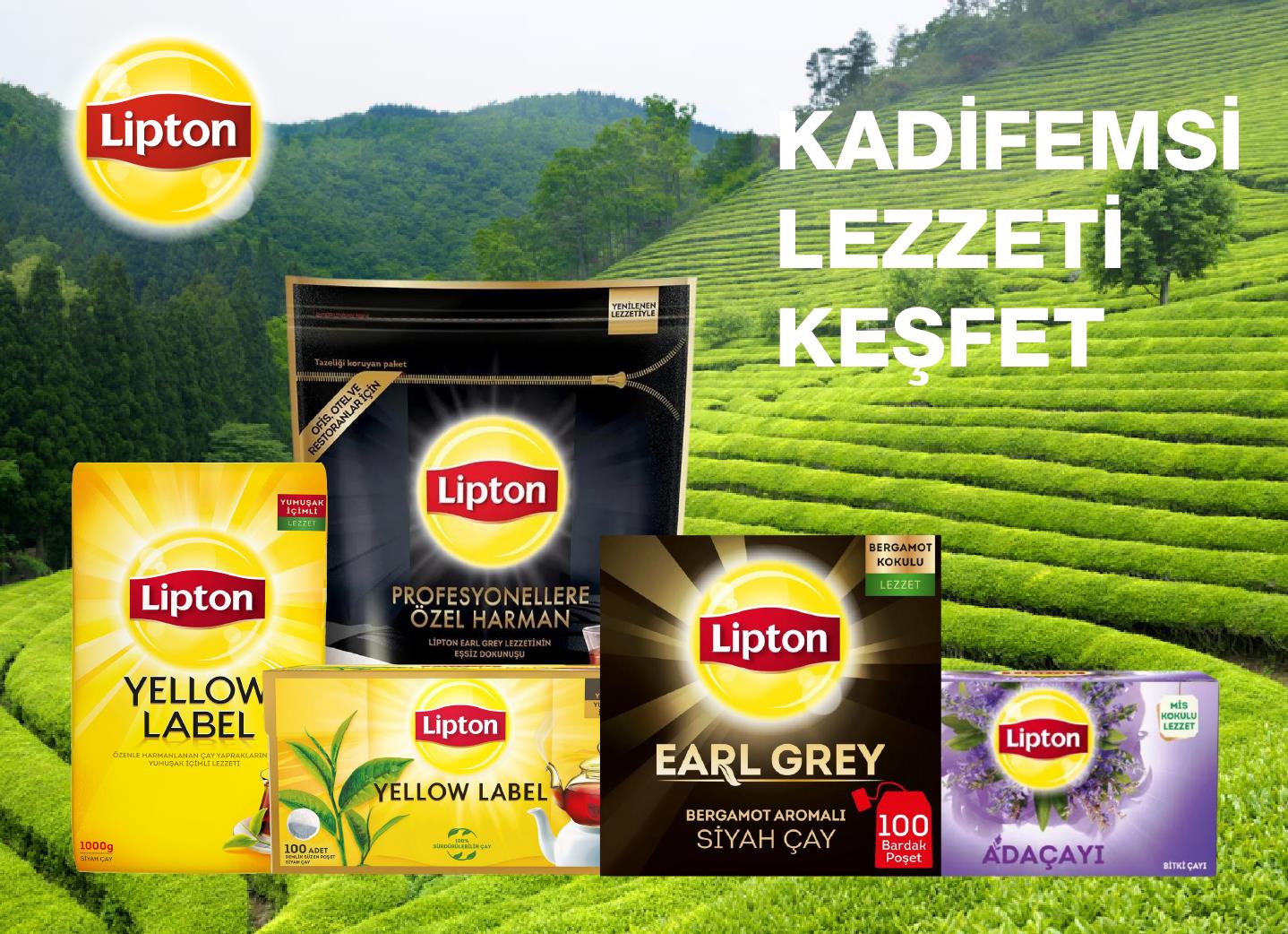 Lipton Çay