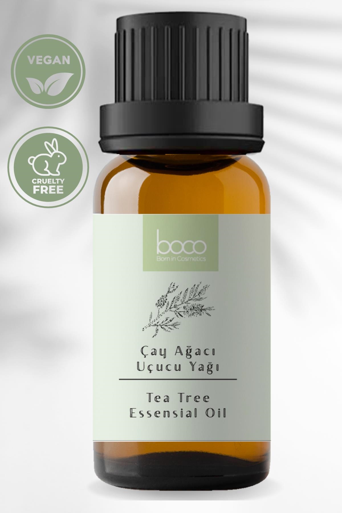 Çay Ağacı Uçucu Yağı (Melaleuca alternifolia)