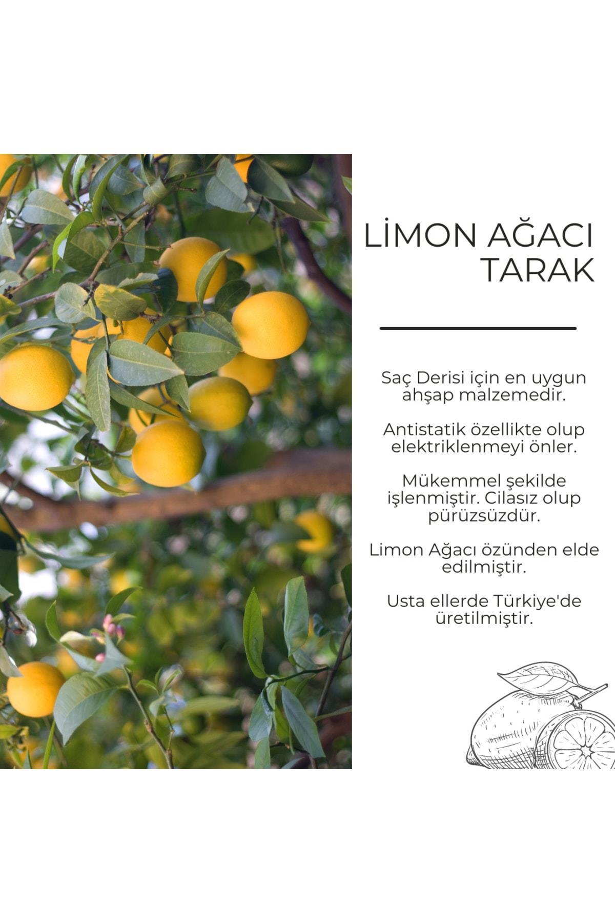 El Yapımı Limon Ağacı Ahşap Tarak