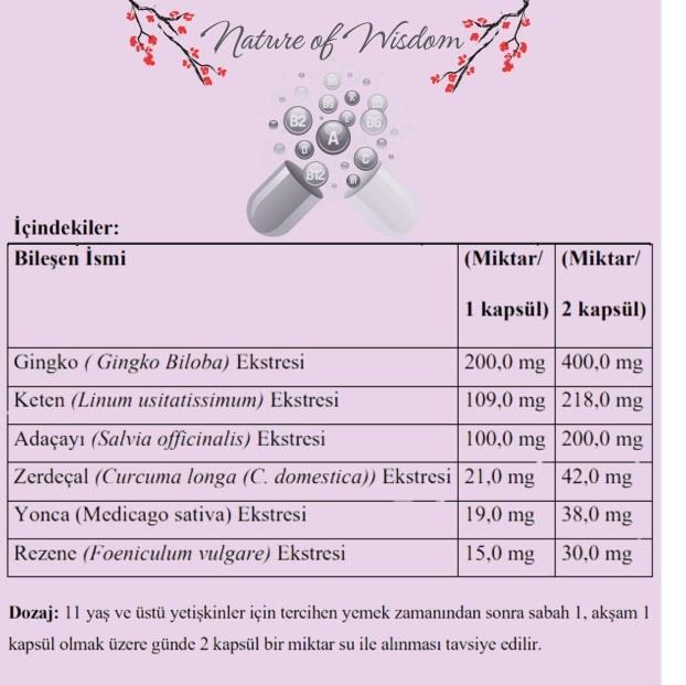 FOCUS SUPPORT Ginko Bloba,Keten,Zerdeçal İçeren Takviye Edici Gıda 63 Bitkisel Tablet