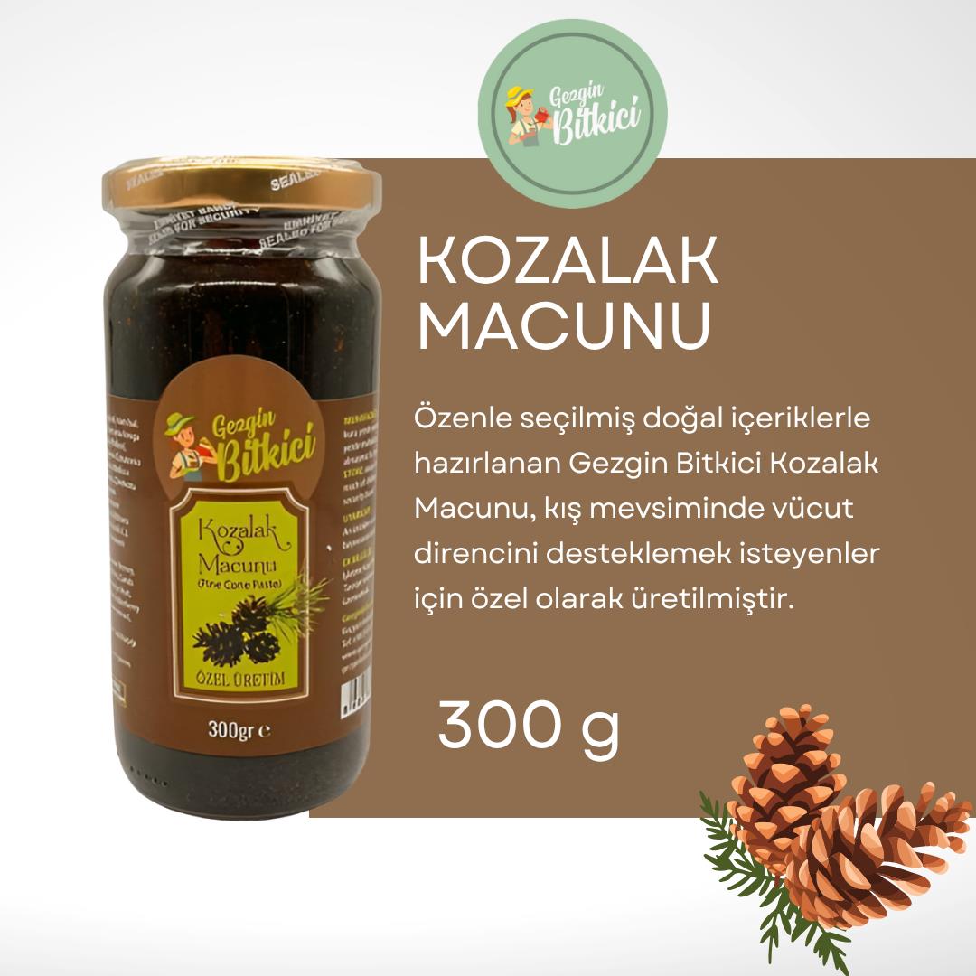 Gezgin Bitkici Kozalak Macunu %100 Katkısız ve Doğal