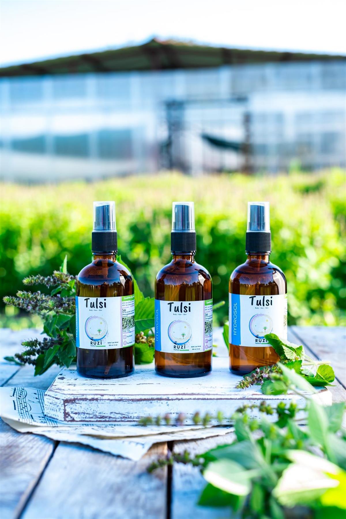 Tulsi (HİNT FESLEĞENİ) Hidrosolü