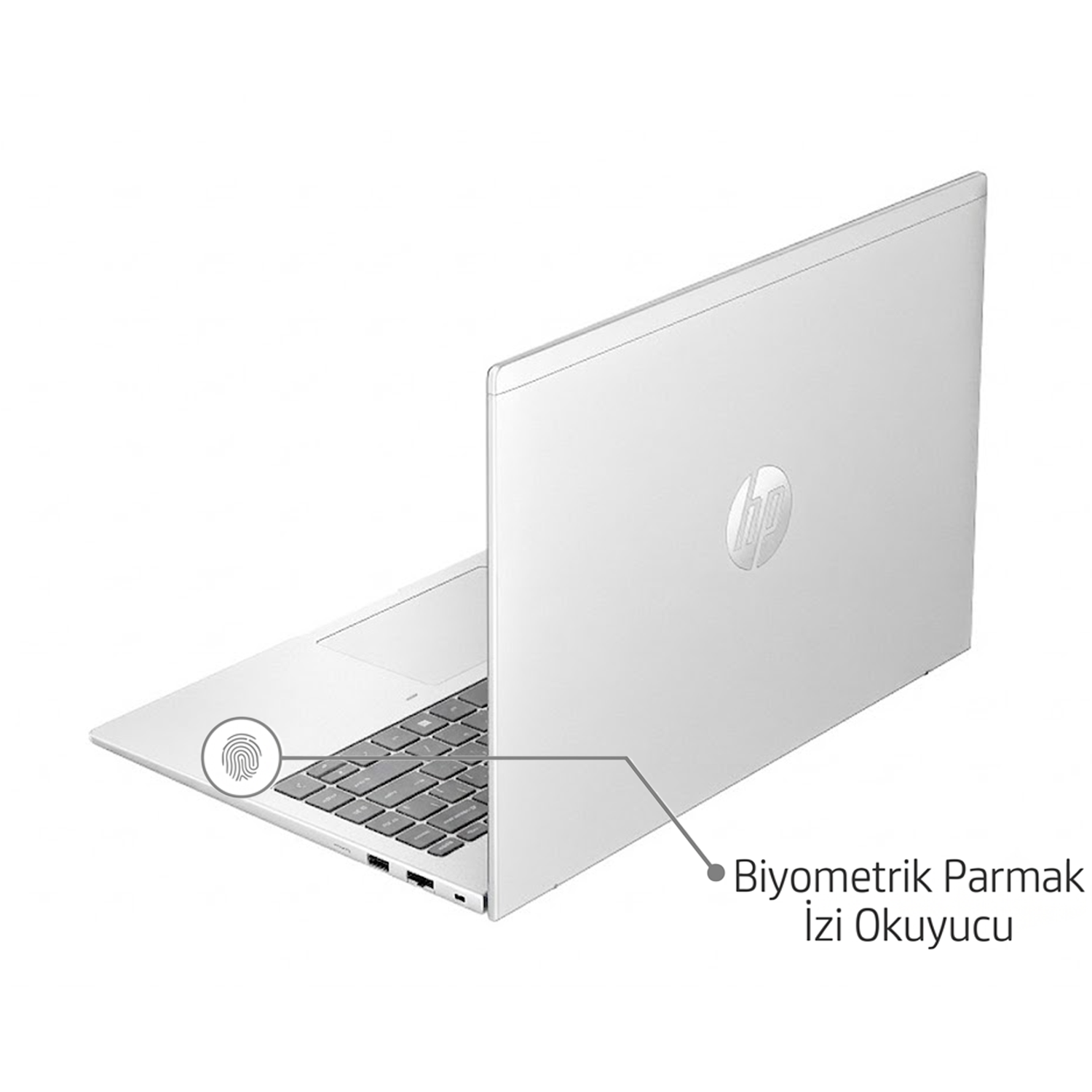 HP ProBook 14 Kapalı Üst Kapak ve Logo Tasarımı