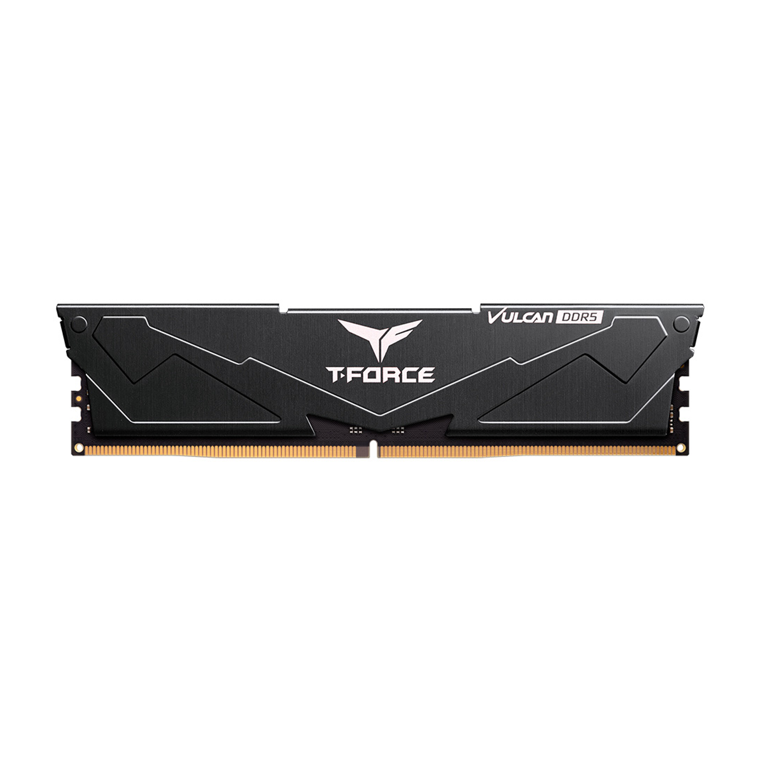 T-Force Vulcan DDR5 Siyah Gaming RAM