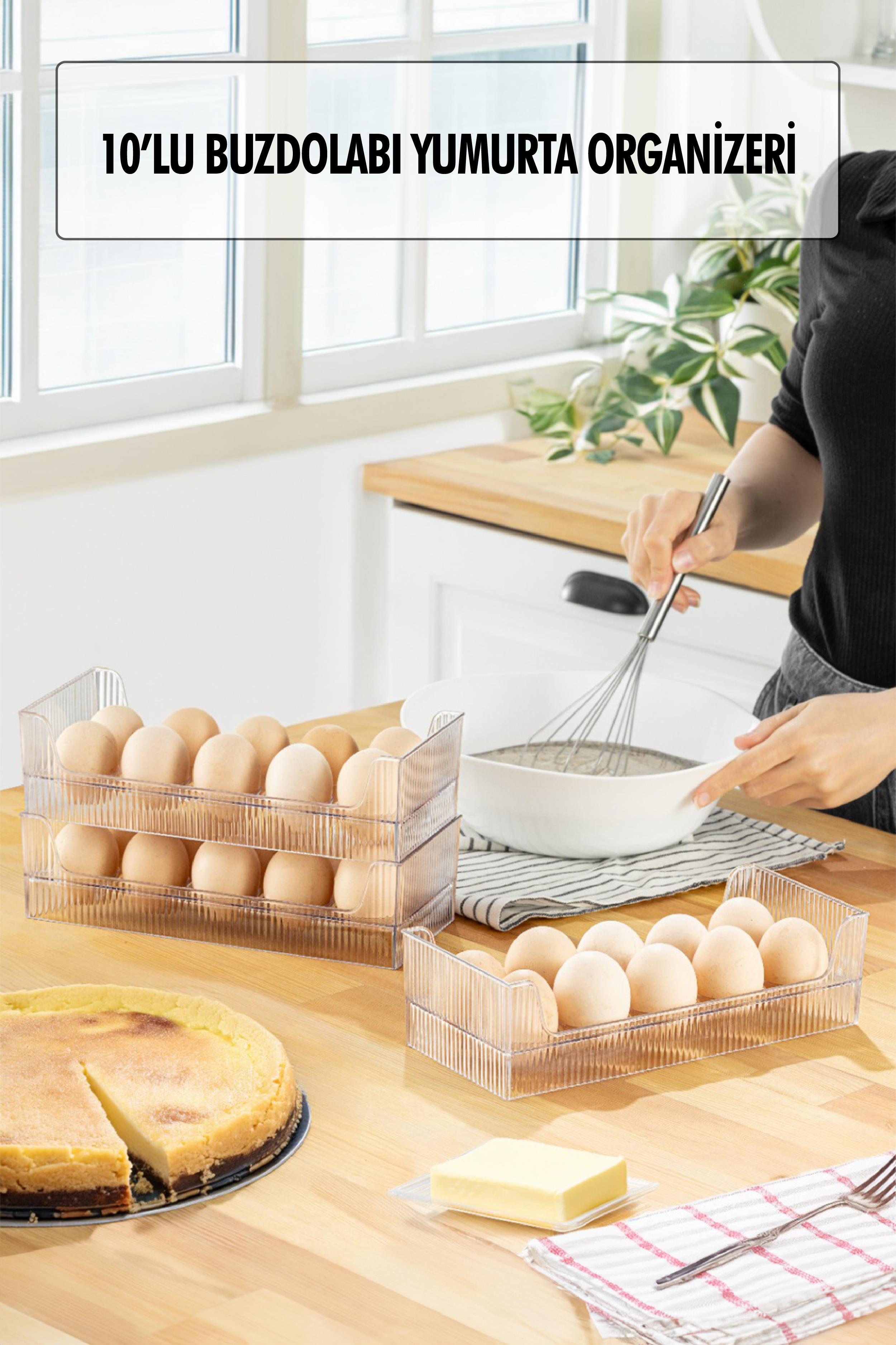 10 Eggs Organizer Regulator ( SINGLE)