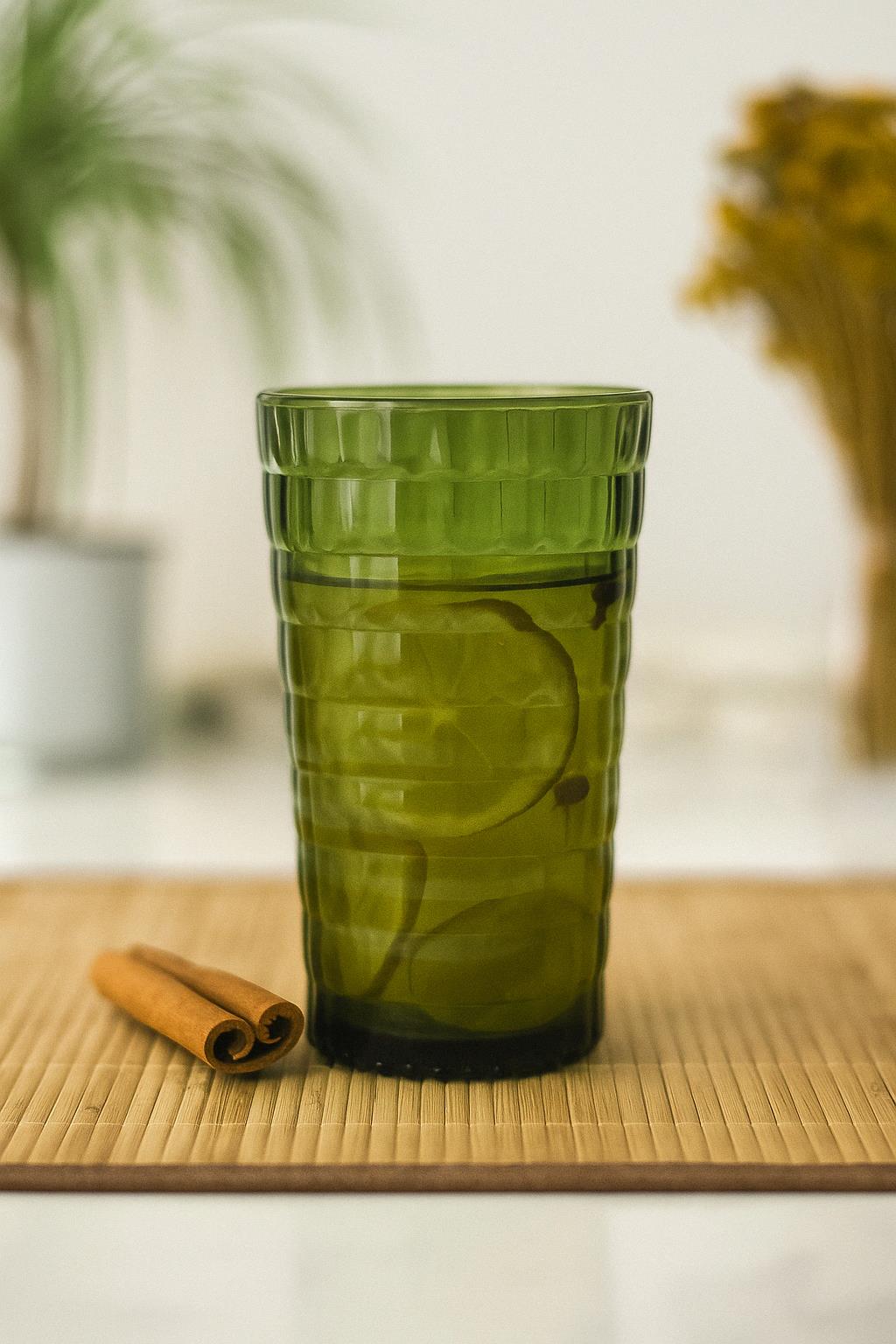 Allegra Dark Green Cup - 750 ml Single Acrylic Material - Glass Not Fracture Resistant