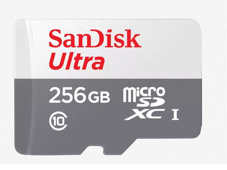 SANDISK FLA 256GB ULTRA SDHC 100MB/S CLASS 10