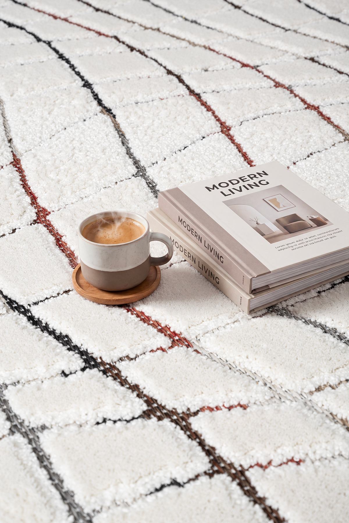 BOLOGNA Yumuşak Tuşeli Hav ve Multi Renk Sisal Püskül Kenar Modern Makine Dokuma Halı view 4