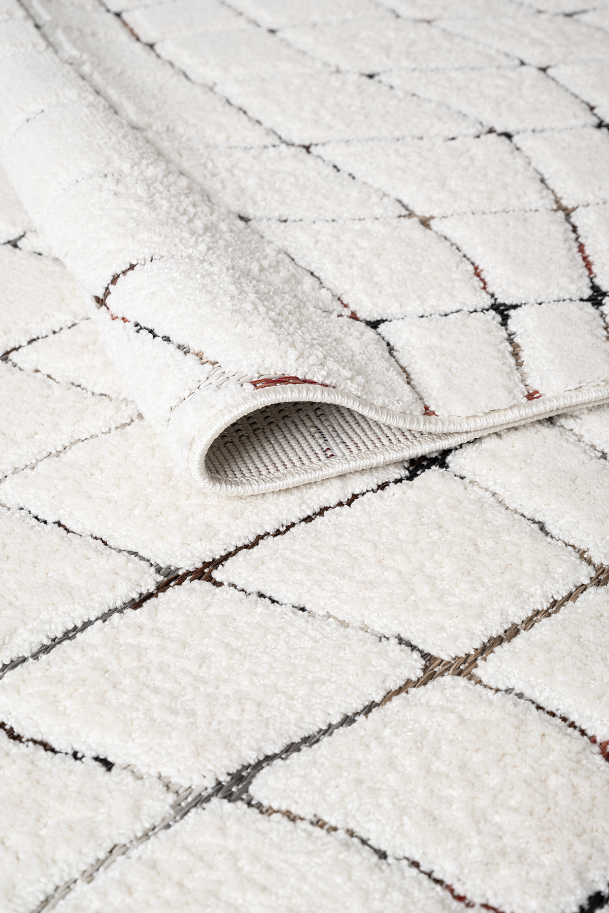 BOLOGNA Yumuşak Tuşeli Hav ve Multi Renk Sisal Püskül Kenar Modern Makine Dokuma Halı view 5
