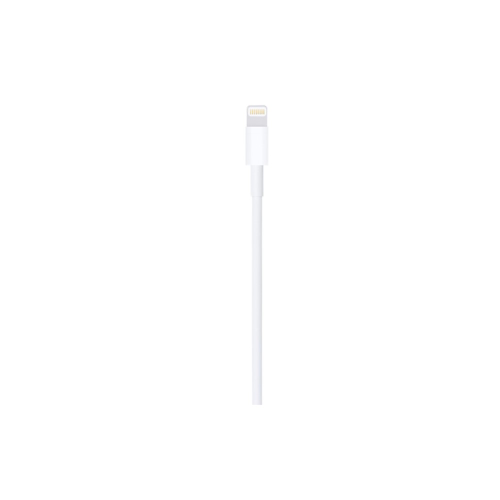 Apple USBA to Lightning Kablo 2m MD819ZM/A Apple Türkiye Garantili